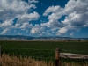 Open Plains | Wyoming, USA