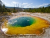 Morning Glory Pool | Yellowstone, USA