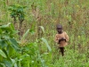 Curious Boy | Rwanda